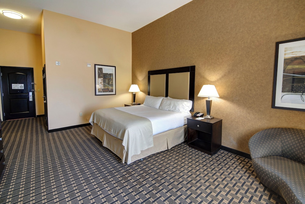 Holiday Inn Arlington Ne Rangers Ballpark 18/69