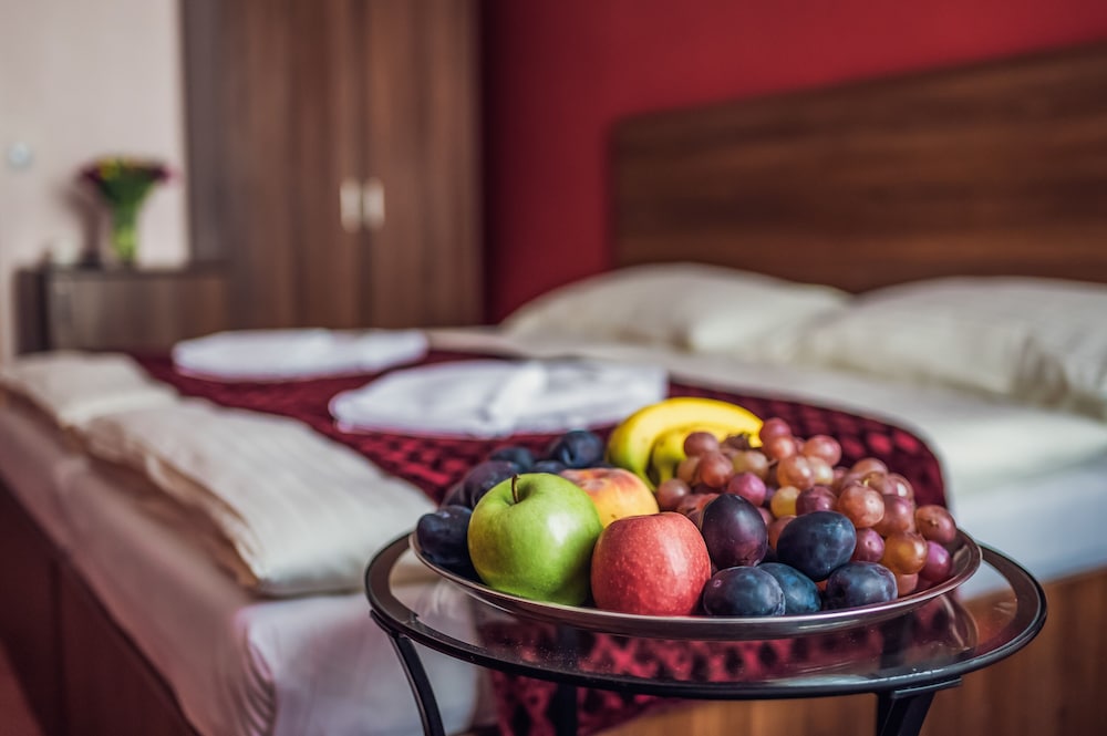 Hotel Czechia 33/48