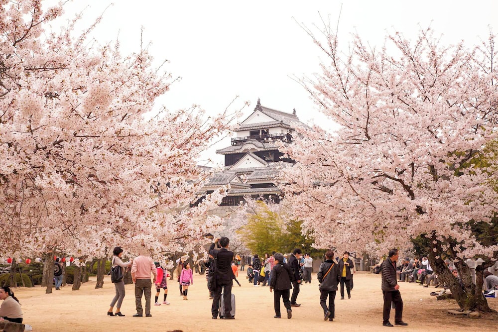 Matsuyama New Grand Hotel 43/50