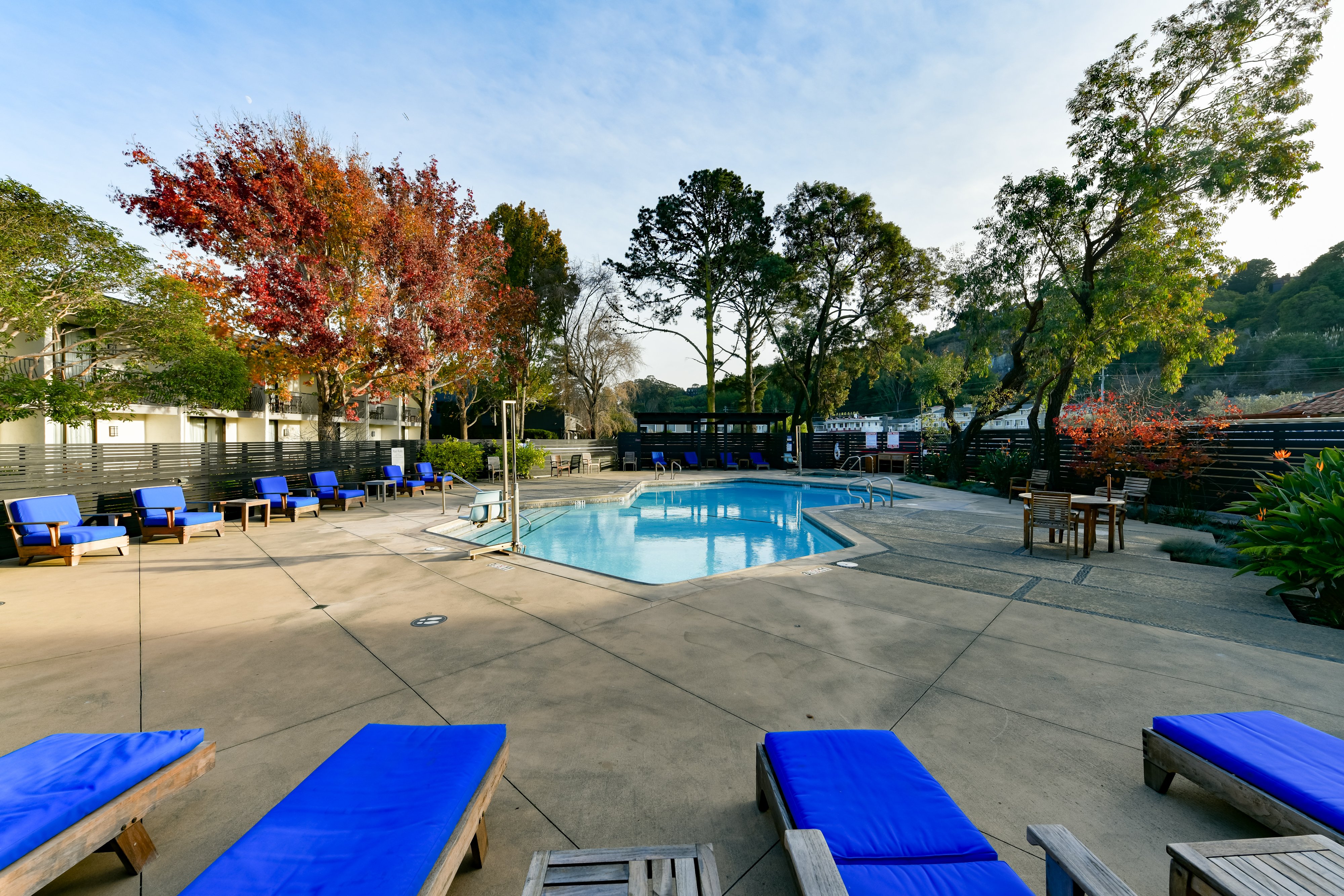 Holiday Inn Express Mill Valley San Francisco Area 72/92