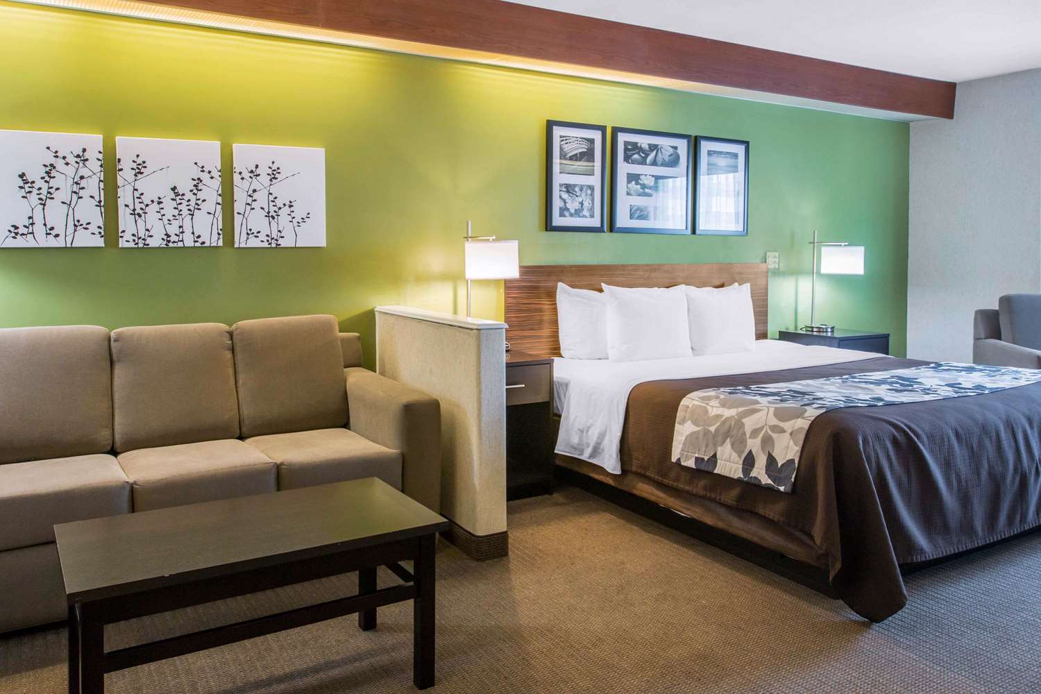 Efficiency, Suite, King Bed