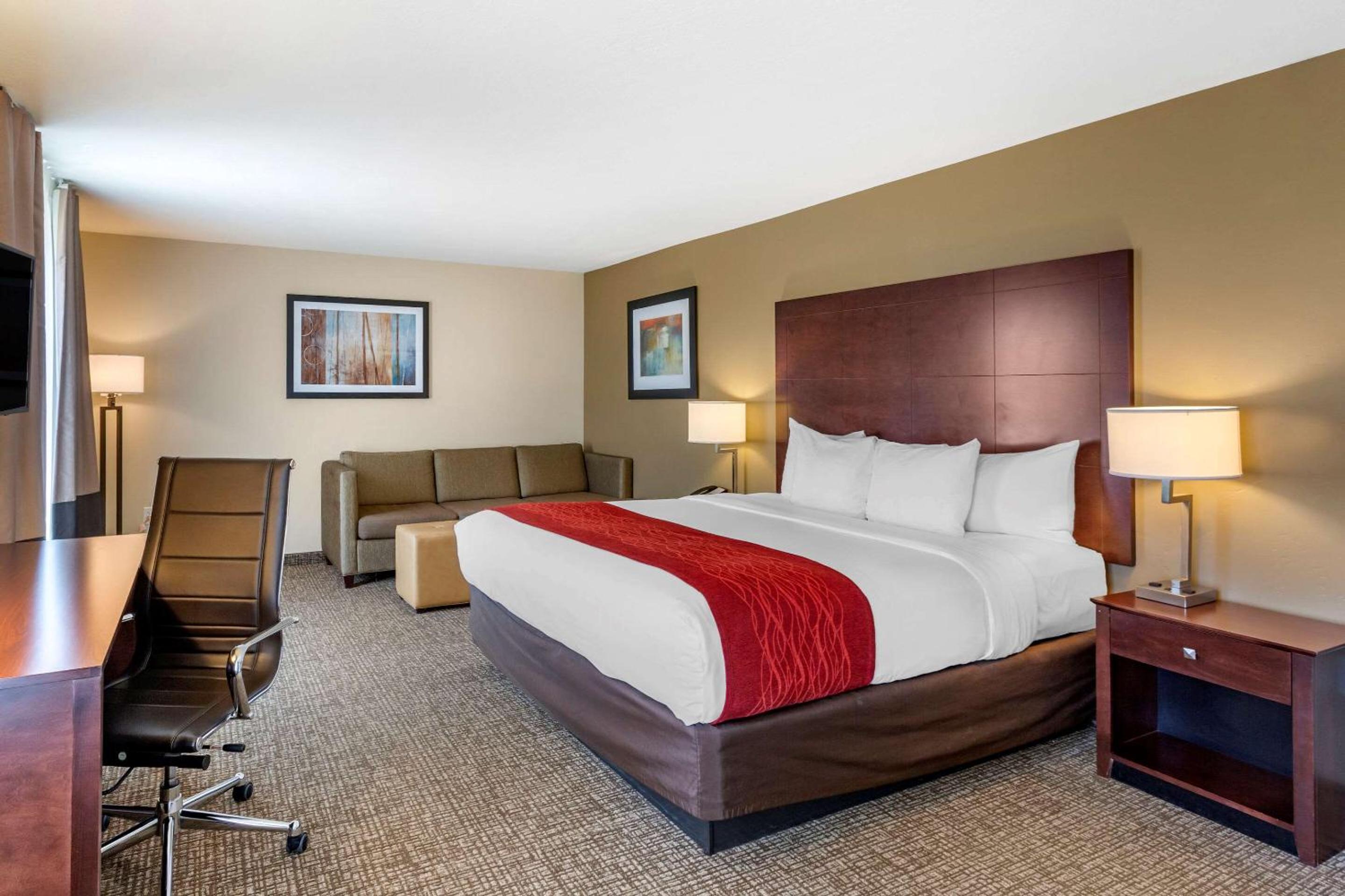Suite, King Bed, Sofa, Accessible