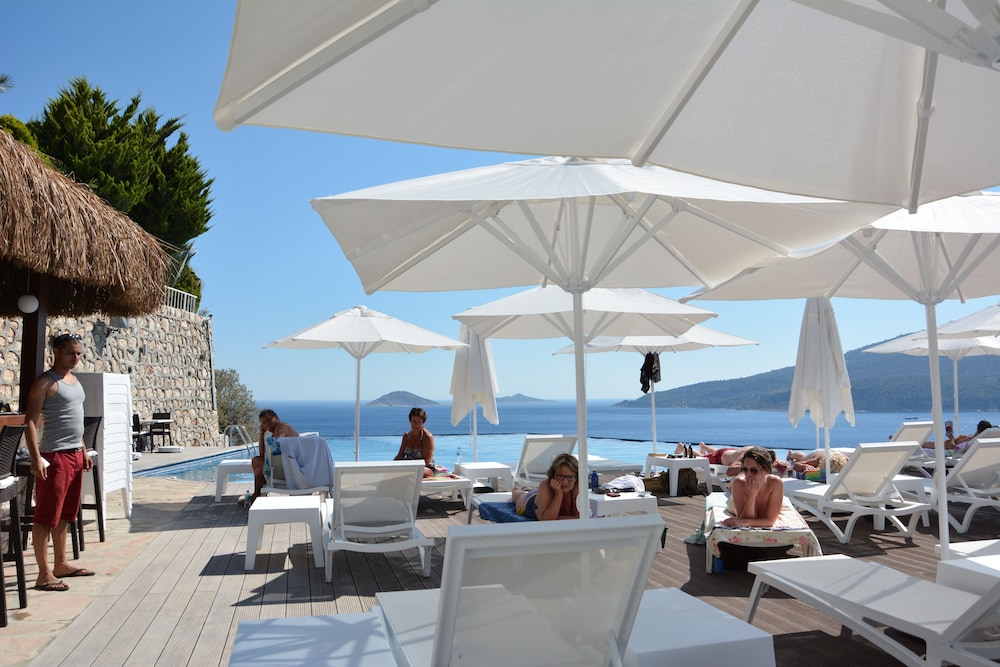 Kalamar Hotel 25/50