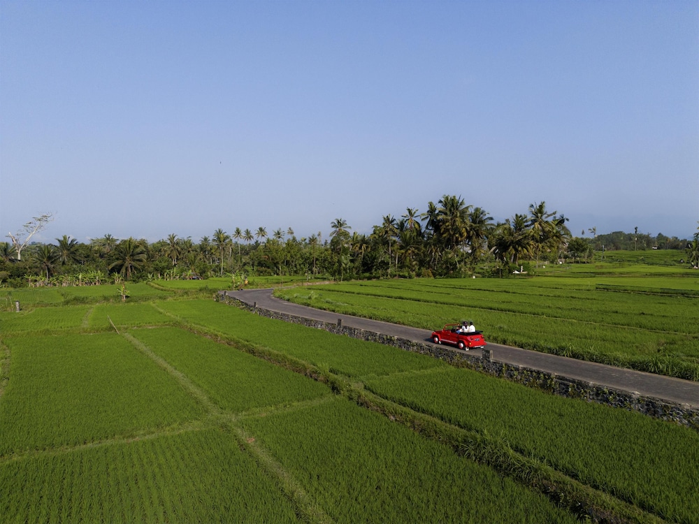 Alila Ubud 49/75