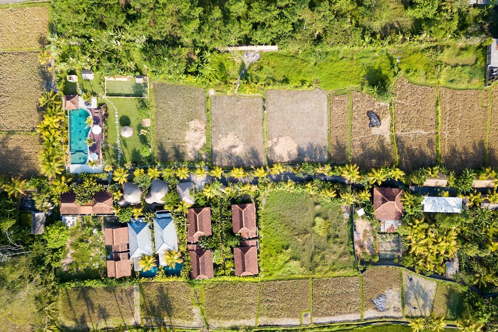 Ubud Art Resort (ex Uma D Mas Villa) 40/48