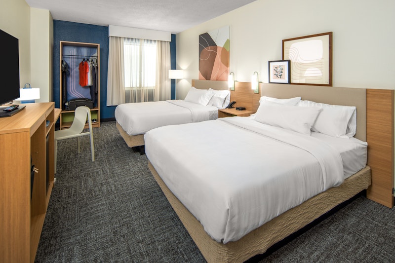 Spark by Hilton Clifton 1/1