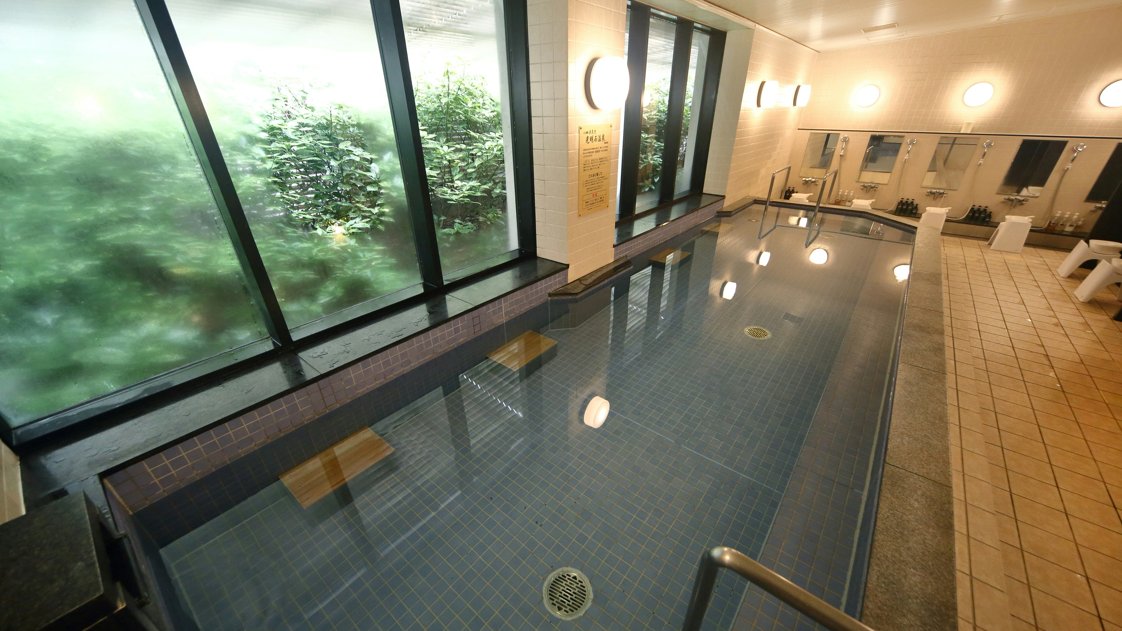 Hotel Nikko Nara 38/60