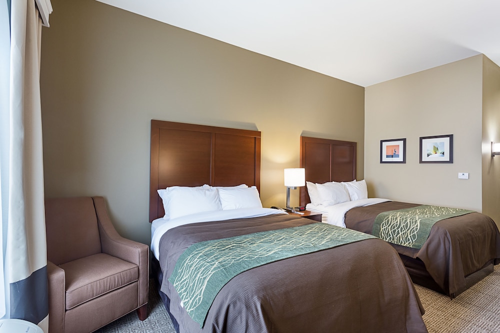Comfort Inn & Suites Zachary, LA 10/41