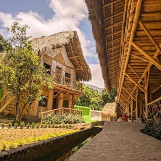 Hotel Bambu Tayrona 32/48