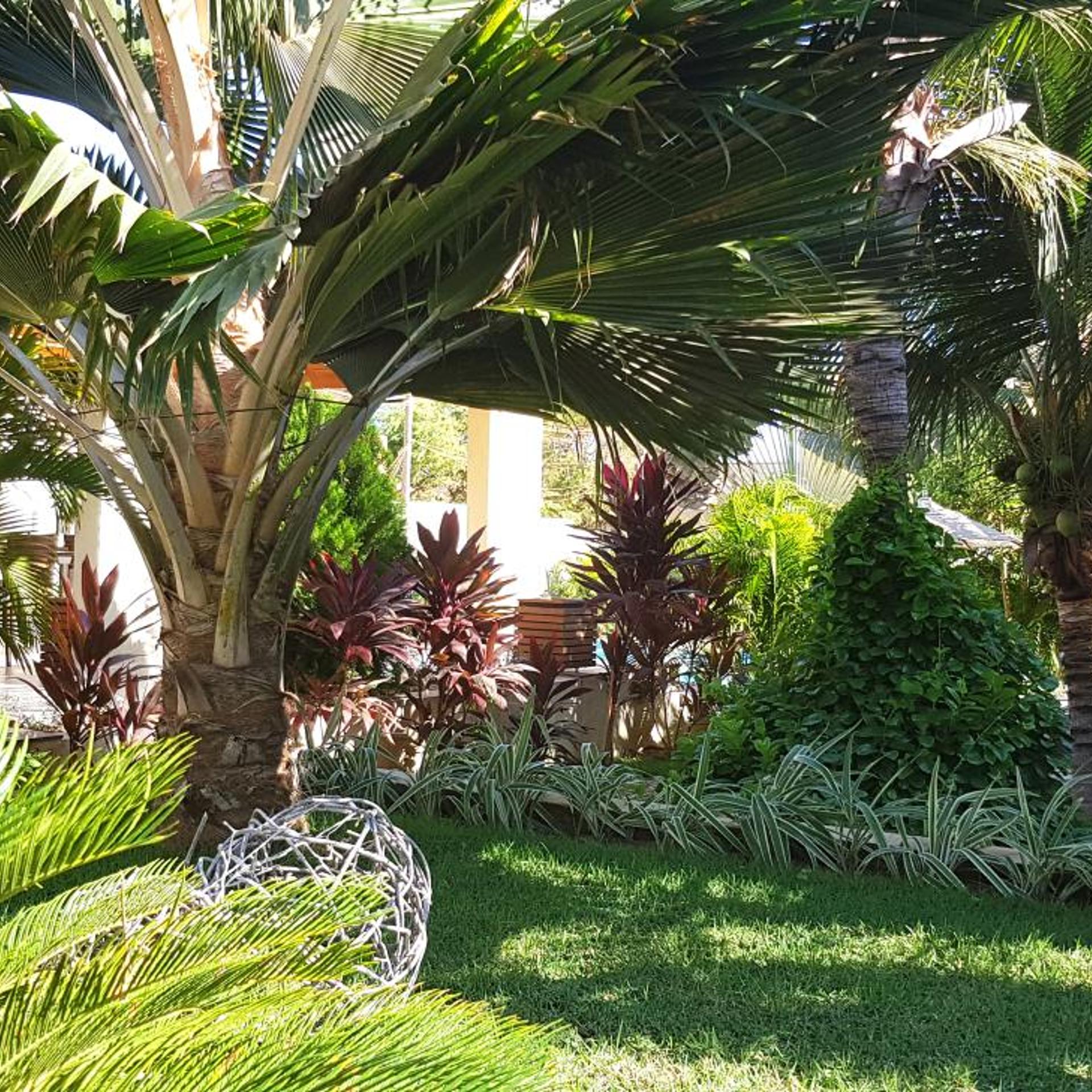 Hotel Boutique Ravenala 41/48