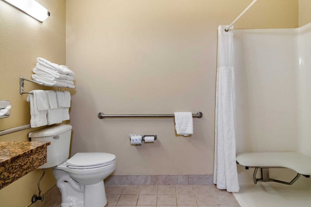 Comfort Inn Suites Suwanee Sugarloaf 11/36