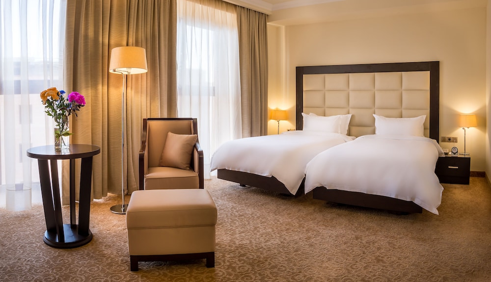 Paris Hotel Yerevan 14/42