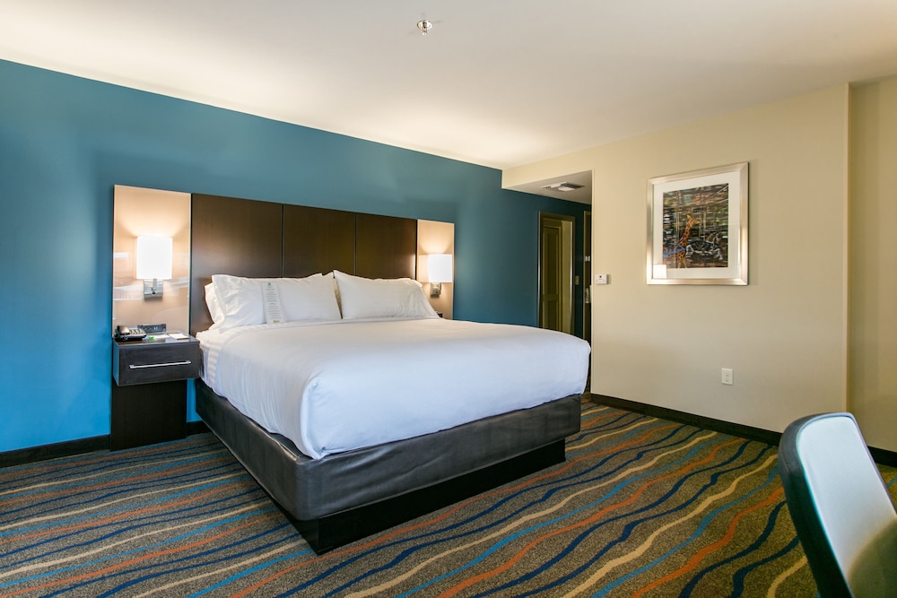 Holiday Inn Hotel & Suites CHATTANOOGA DOWNTOWN 16/65