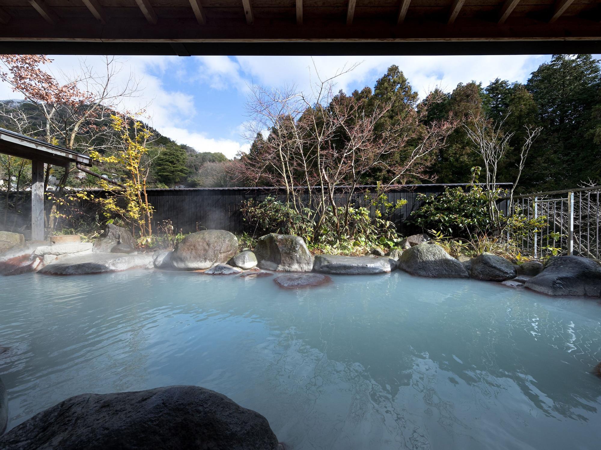 Hotel Seiunso 40/50