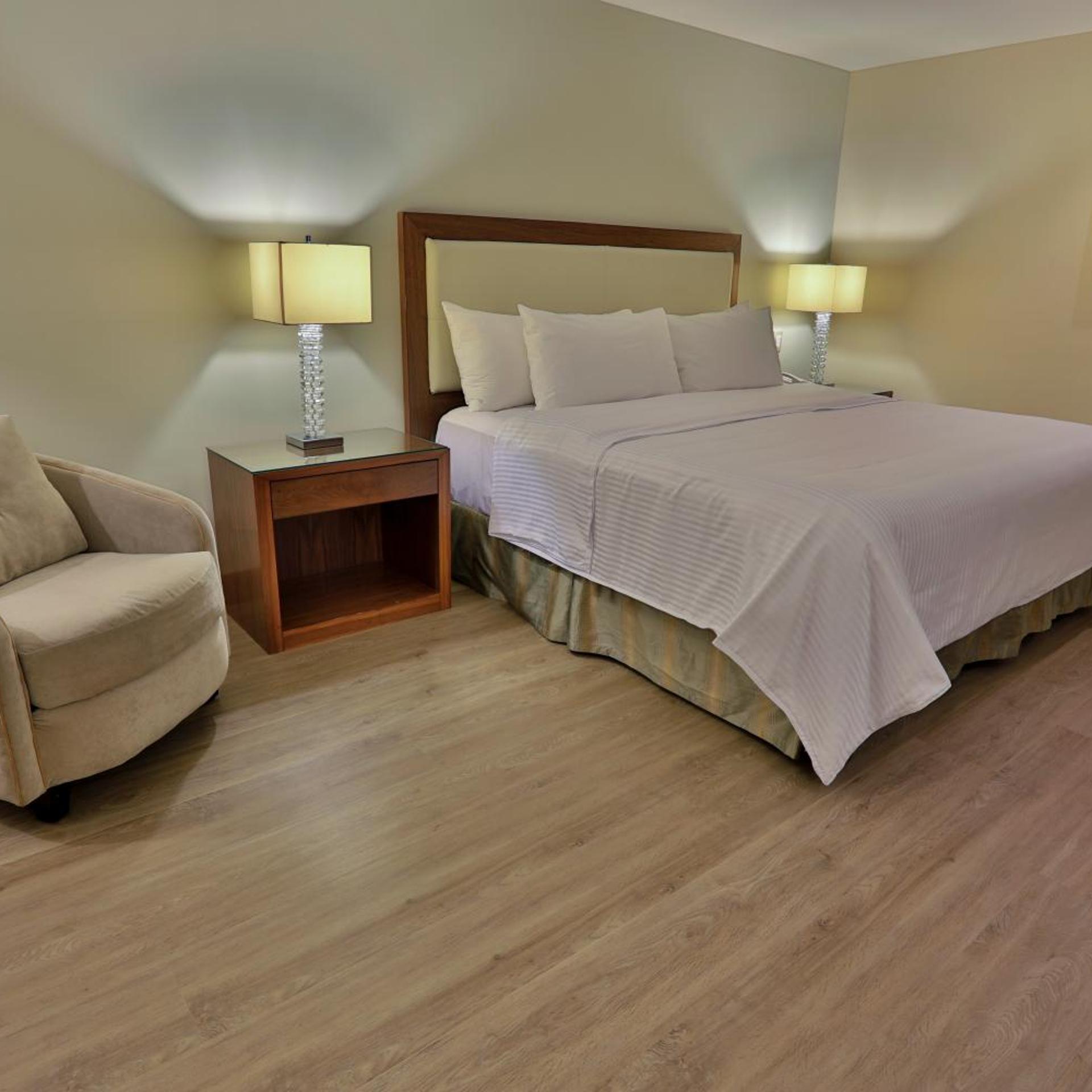 Suite, King Bed