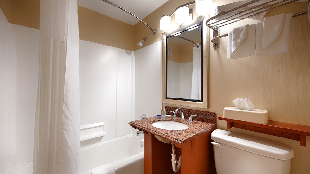 Best Western The Inn At Rochester Airport 30/37