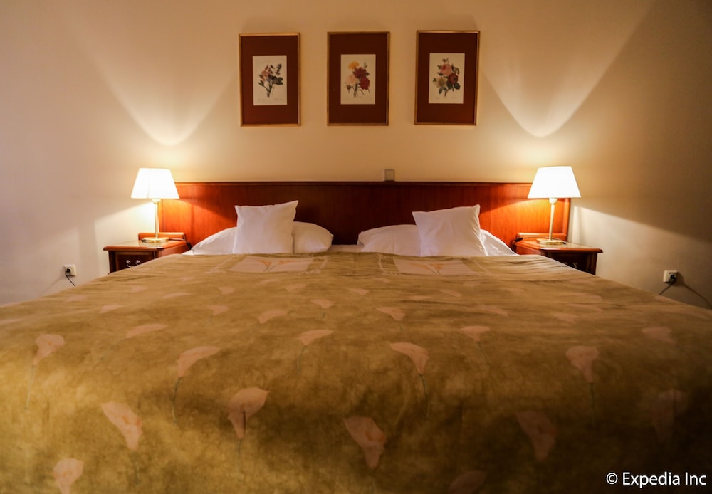 غرفة تنفيذية بسرير كينج، Ea Hotel Rokoko 2/4