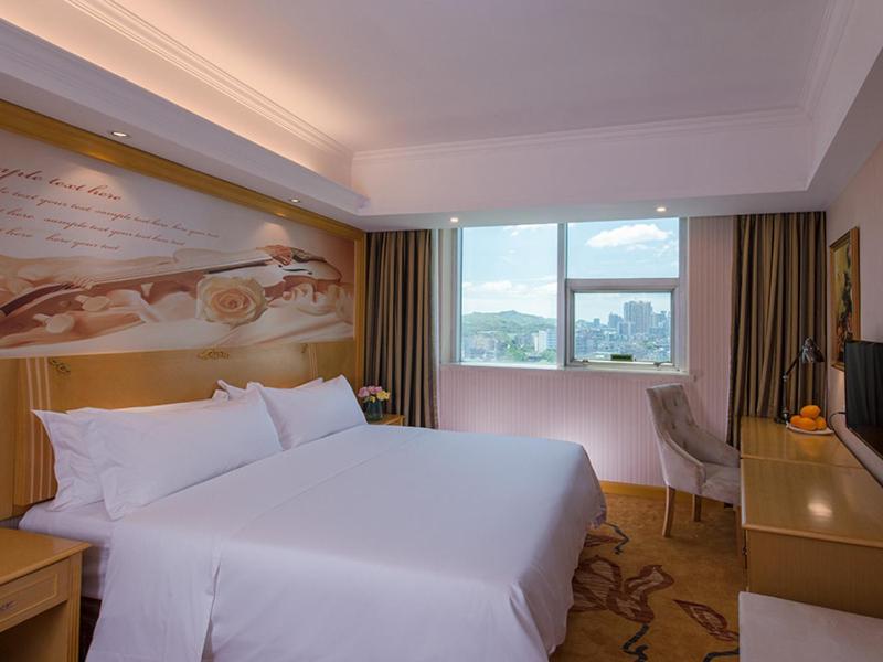 Vienna Hotel (Shenzhen Luofang) 22/37