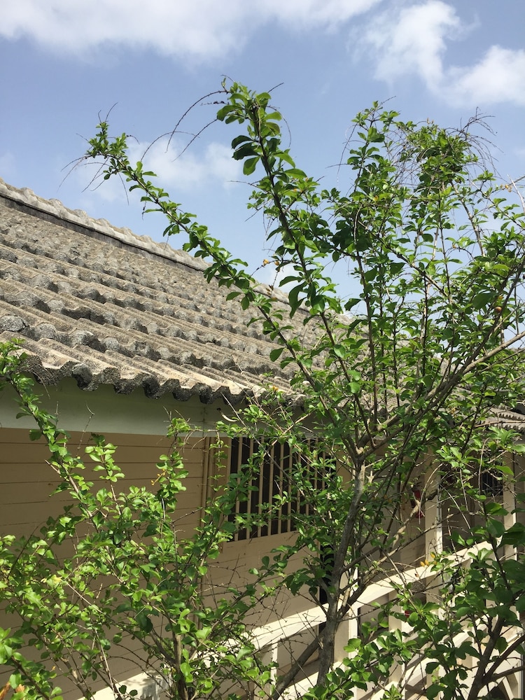 Shirahama Hotel 6/64