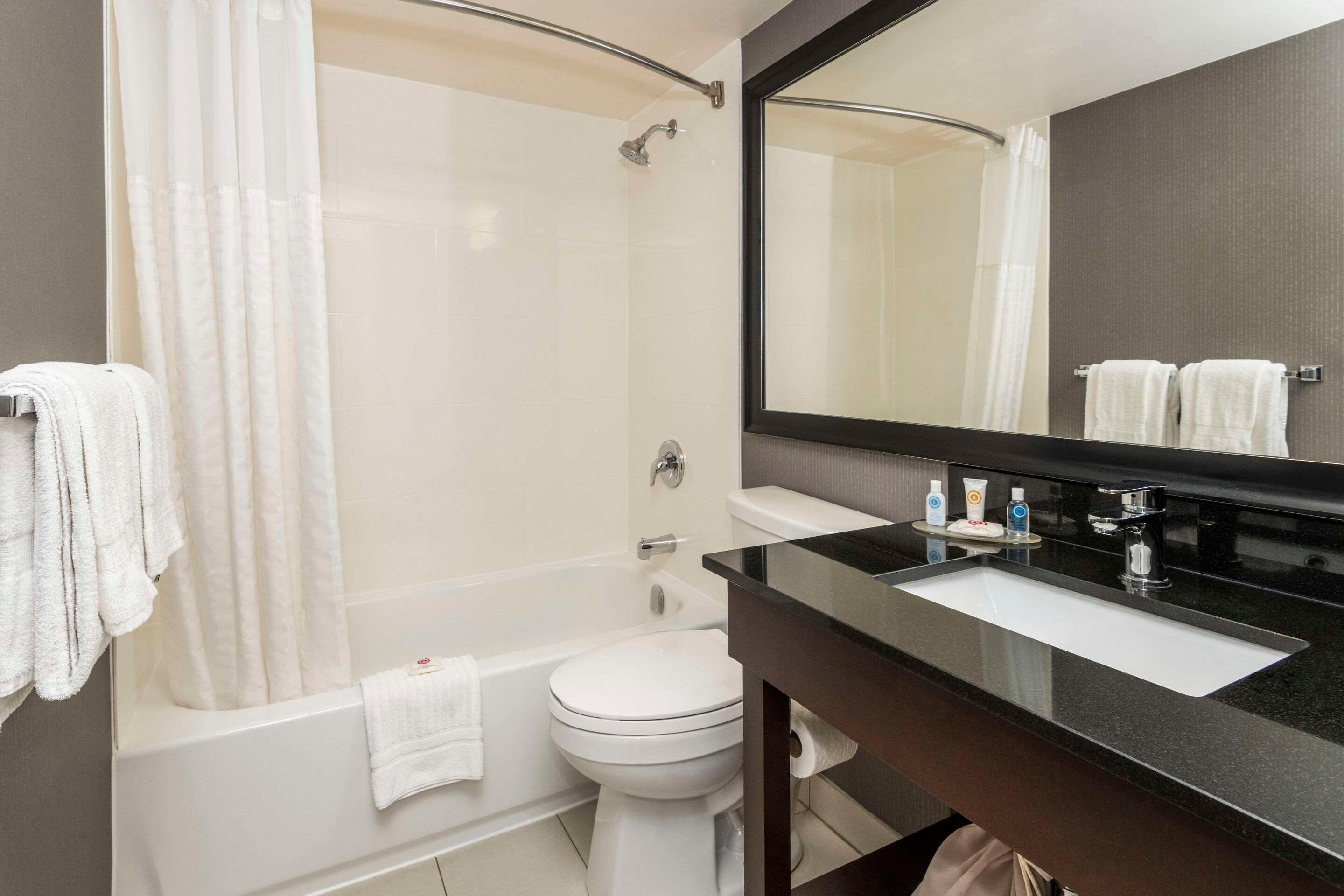 Room, King Bed, Comfort Inn Sault Ste Marie ON 10/10