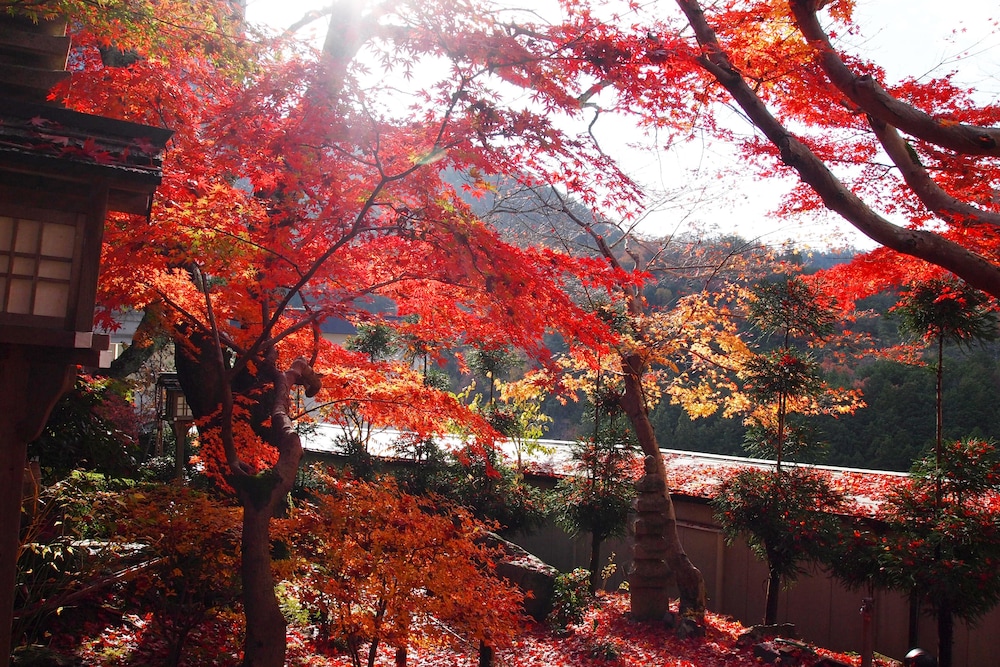 Ryokan Nenrinbo 42/50