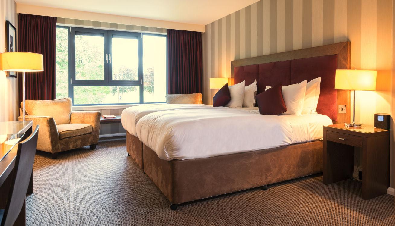 Cocoon, Executive, Suite, King Bed