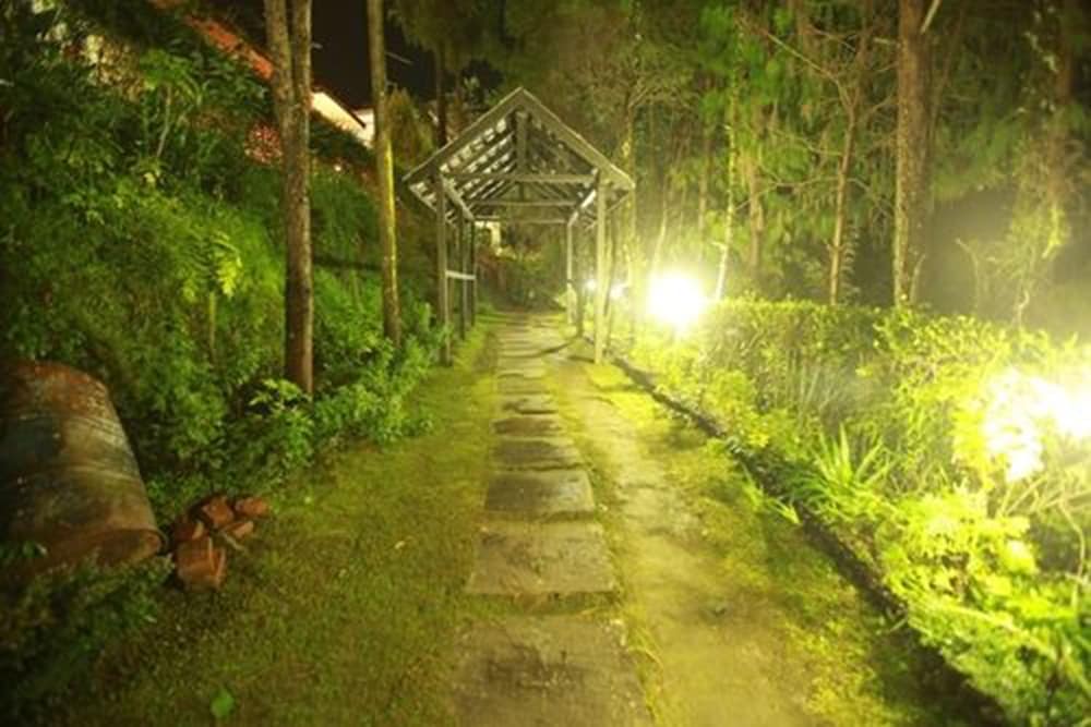 Chautari Paradise Inn 28/37