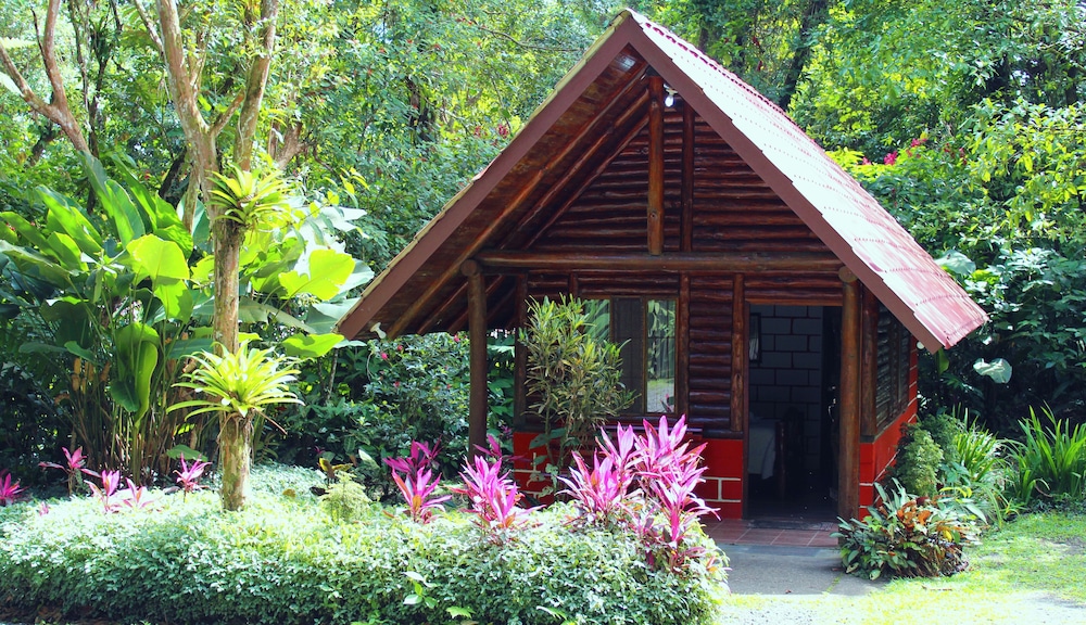 Arenal Oasis 45/50