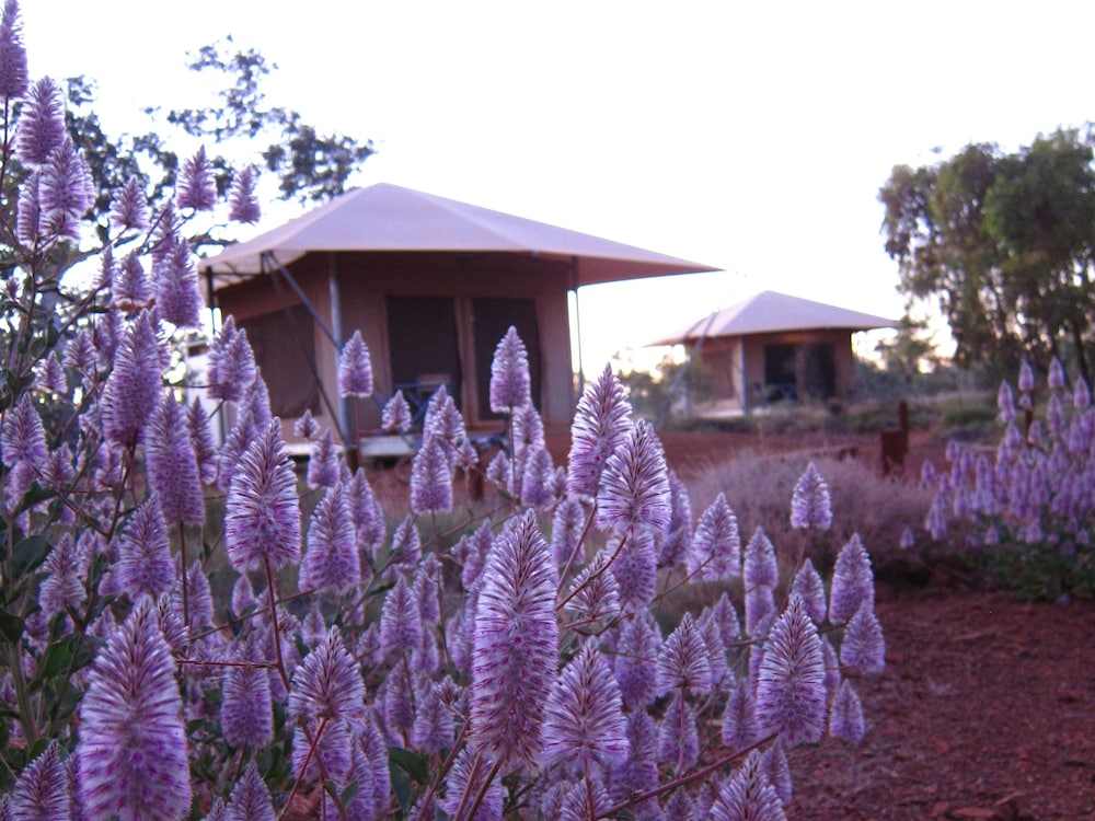 KARIJINI ECO RETREAT. 10/63