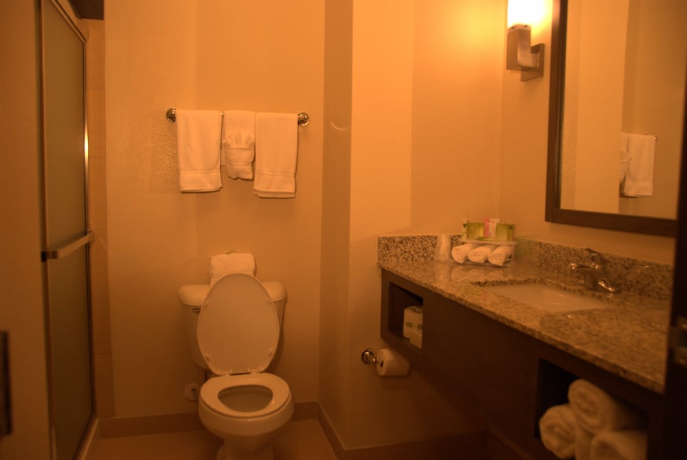 Holiday Inn And Suites Globe 55/55