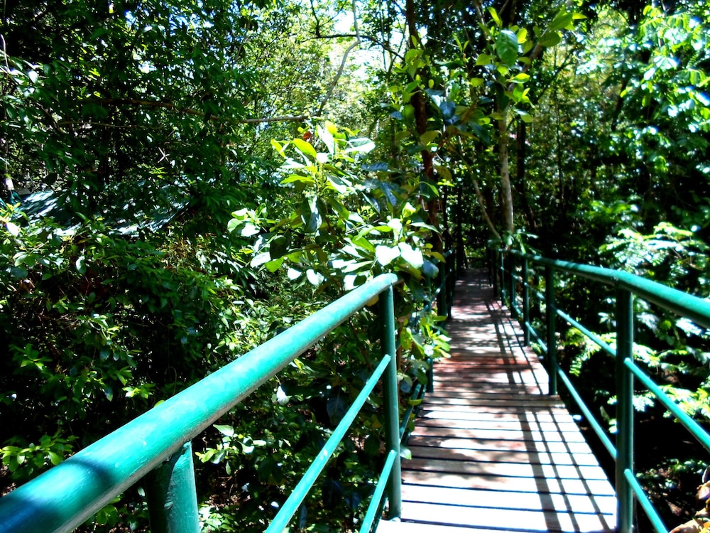 Khao Sok Tree House 36/50