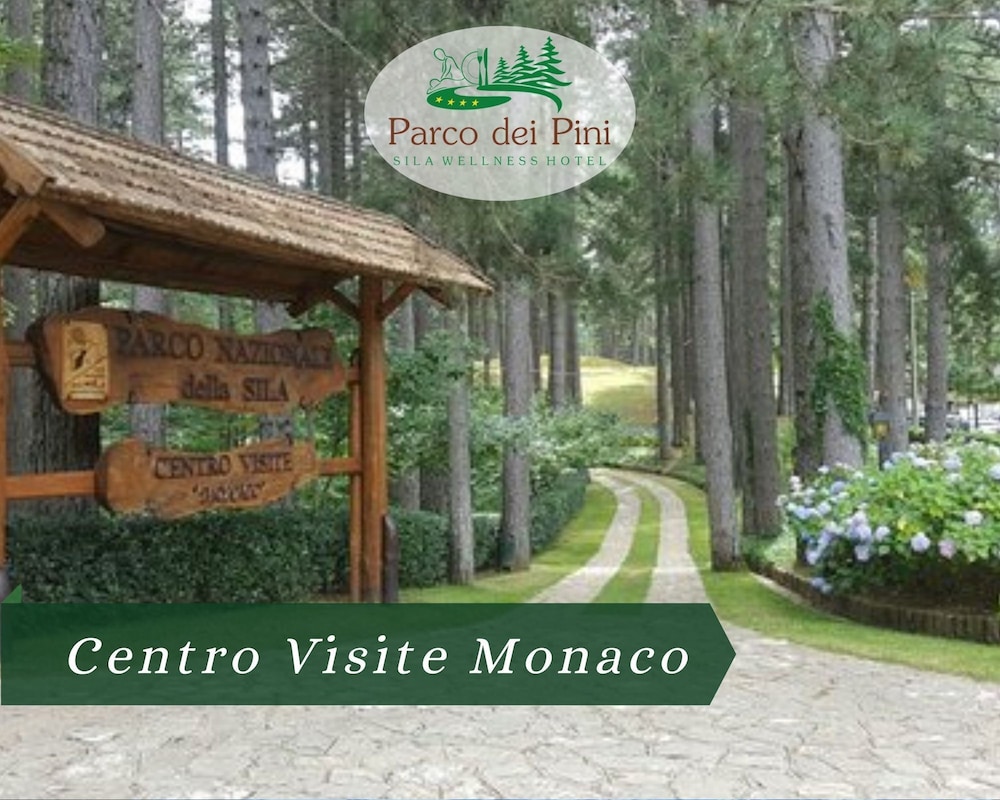 Grand Hotel Parco Dei Pini 1/42