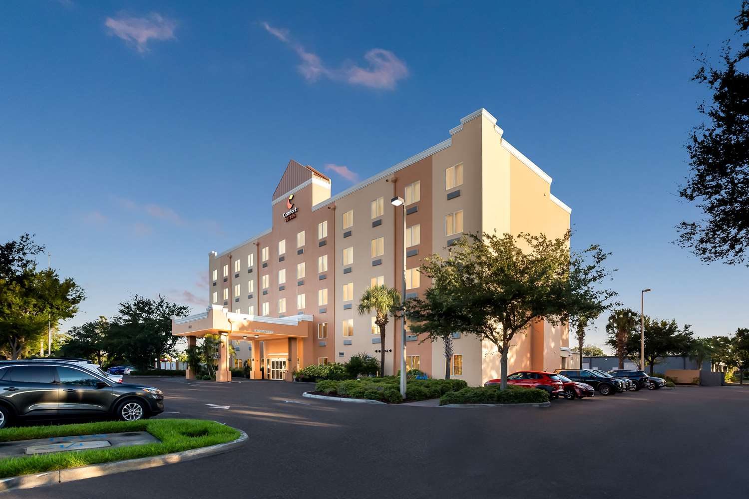 Comfort Suites Tampa Airport North 33/35