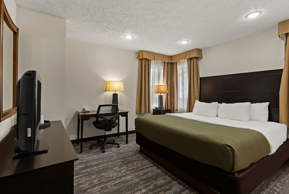 SUITE, KING BED