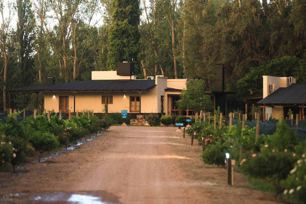 Algodon Wine Estates and Champions Club 62/67