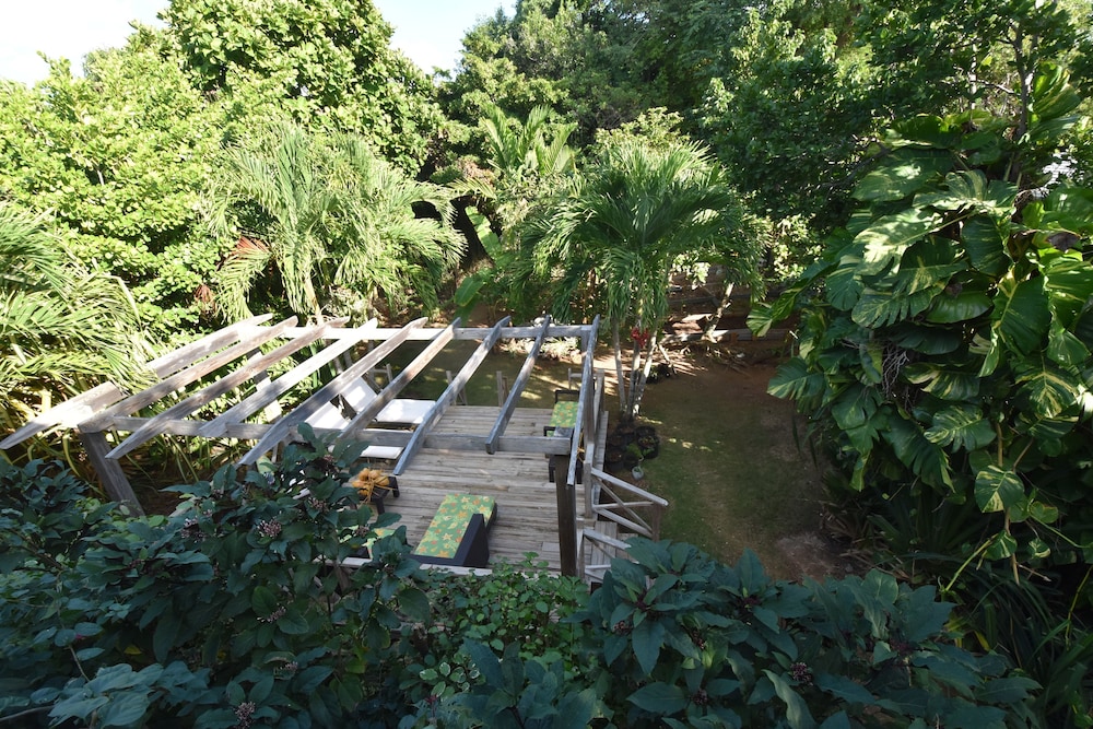 THE SUGAR APPLE BED AND BREAKFAST 35/50