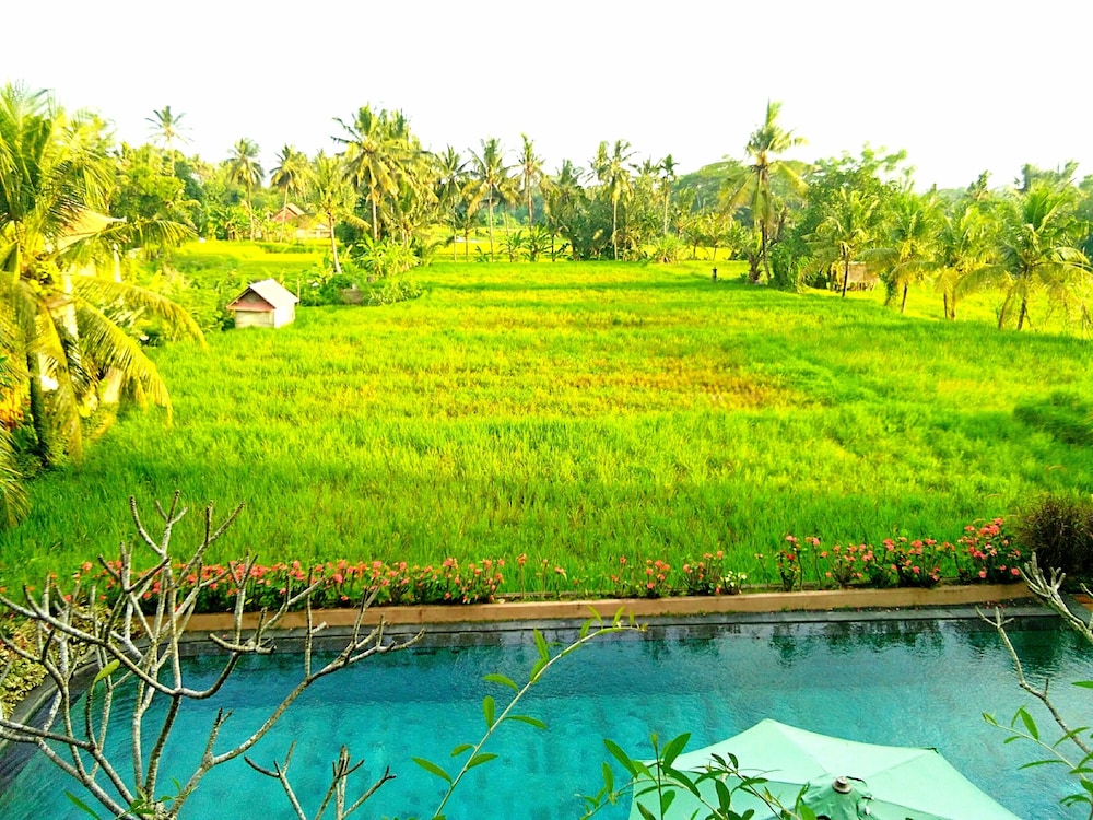 Inata Bisma Resort Spa Ubud 33/50