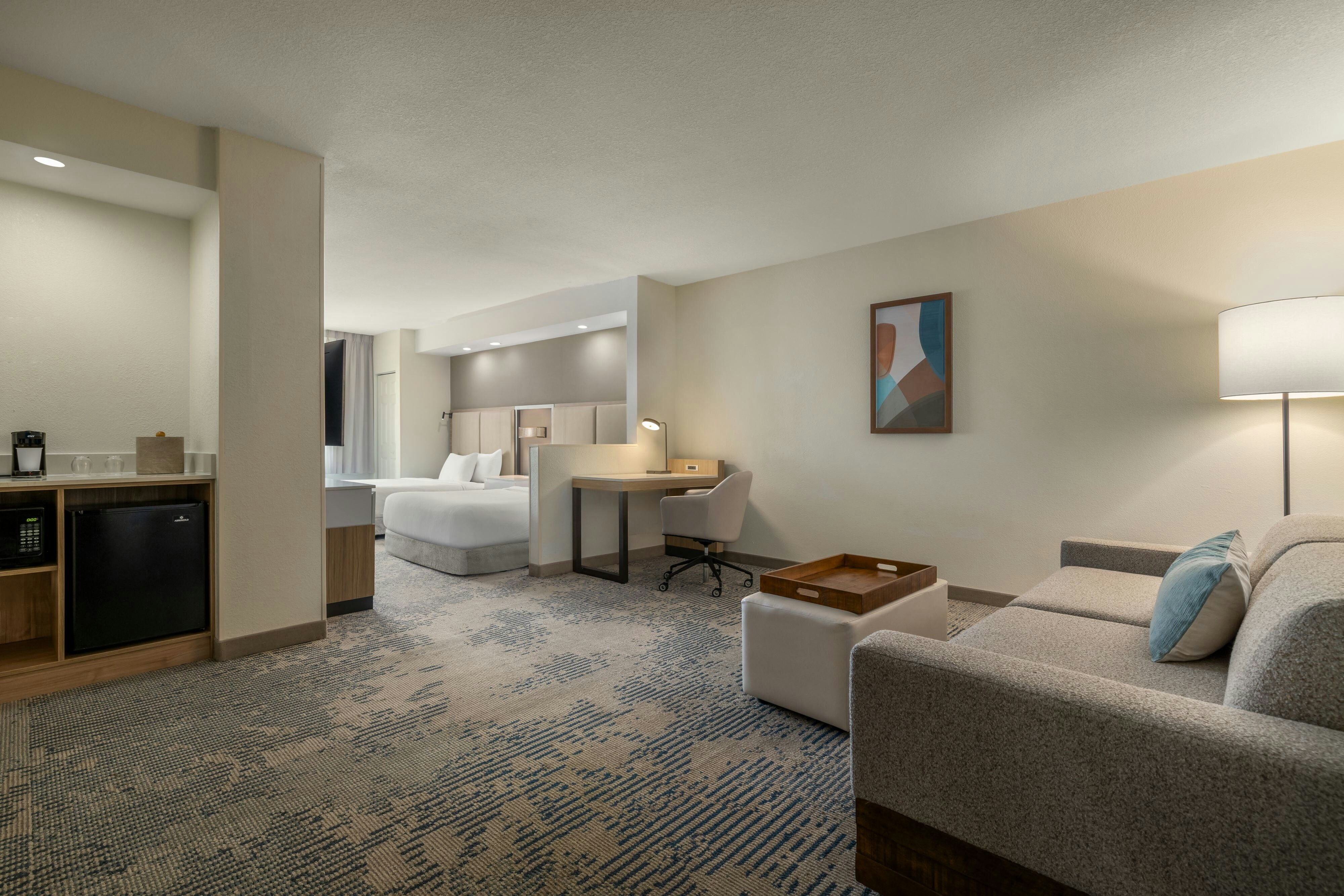 Springhill Suites Tampa Brandon 41/60