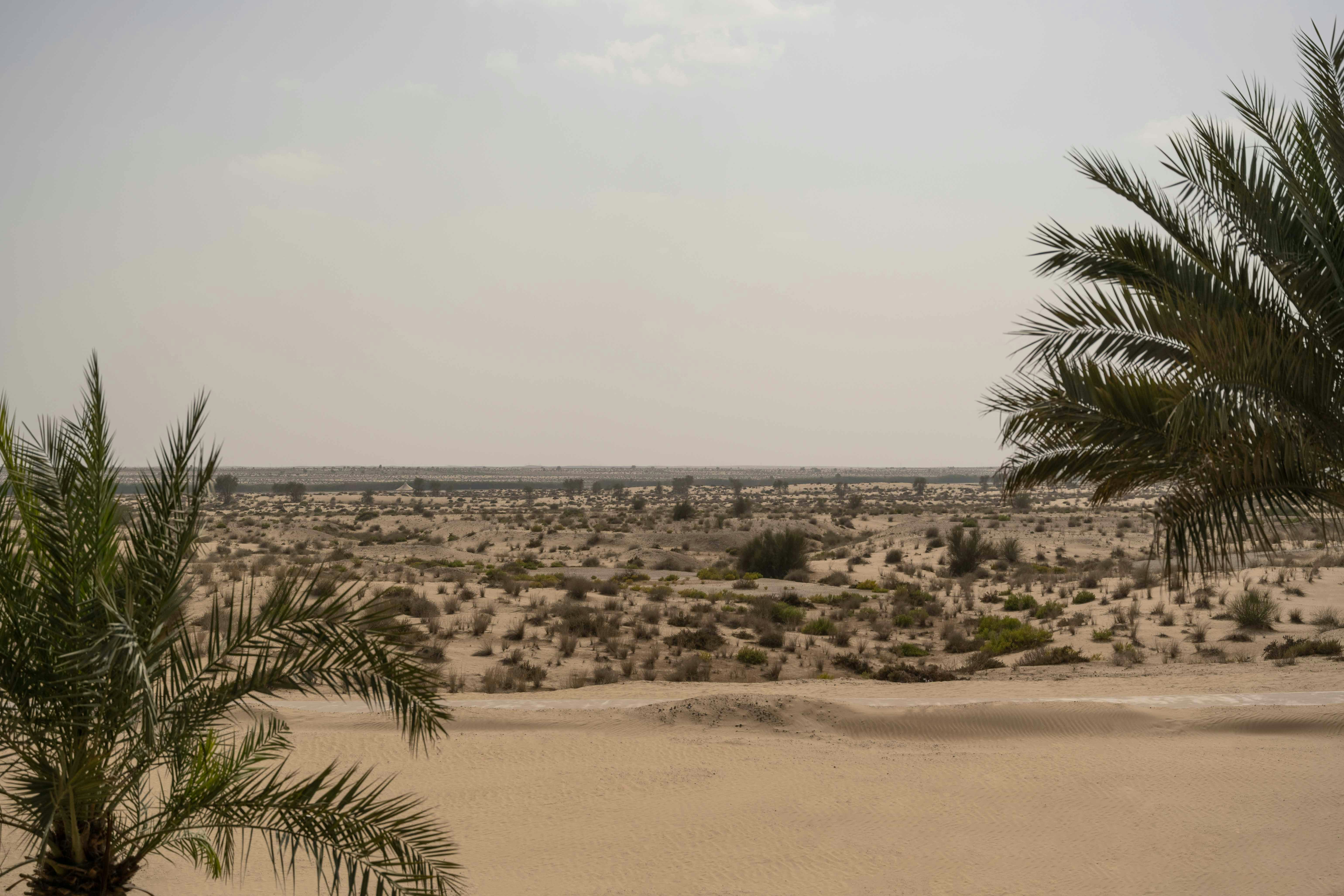 Bab Al Shams Desert Resort and Spa 33/50