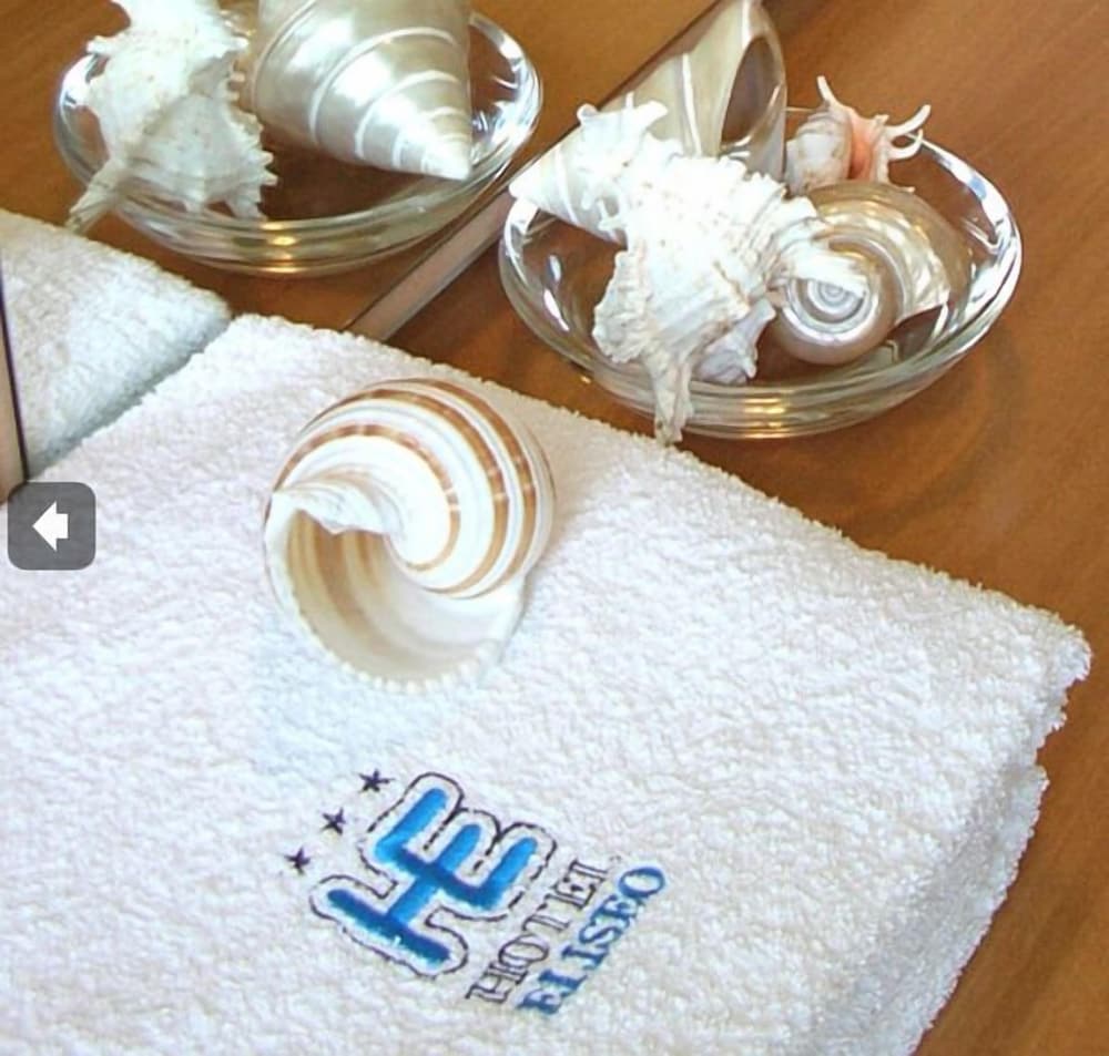 Hotel Eliseo photo3