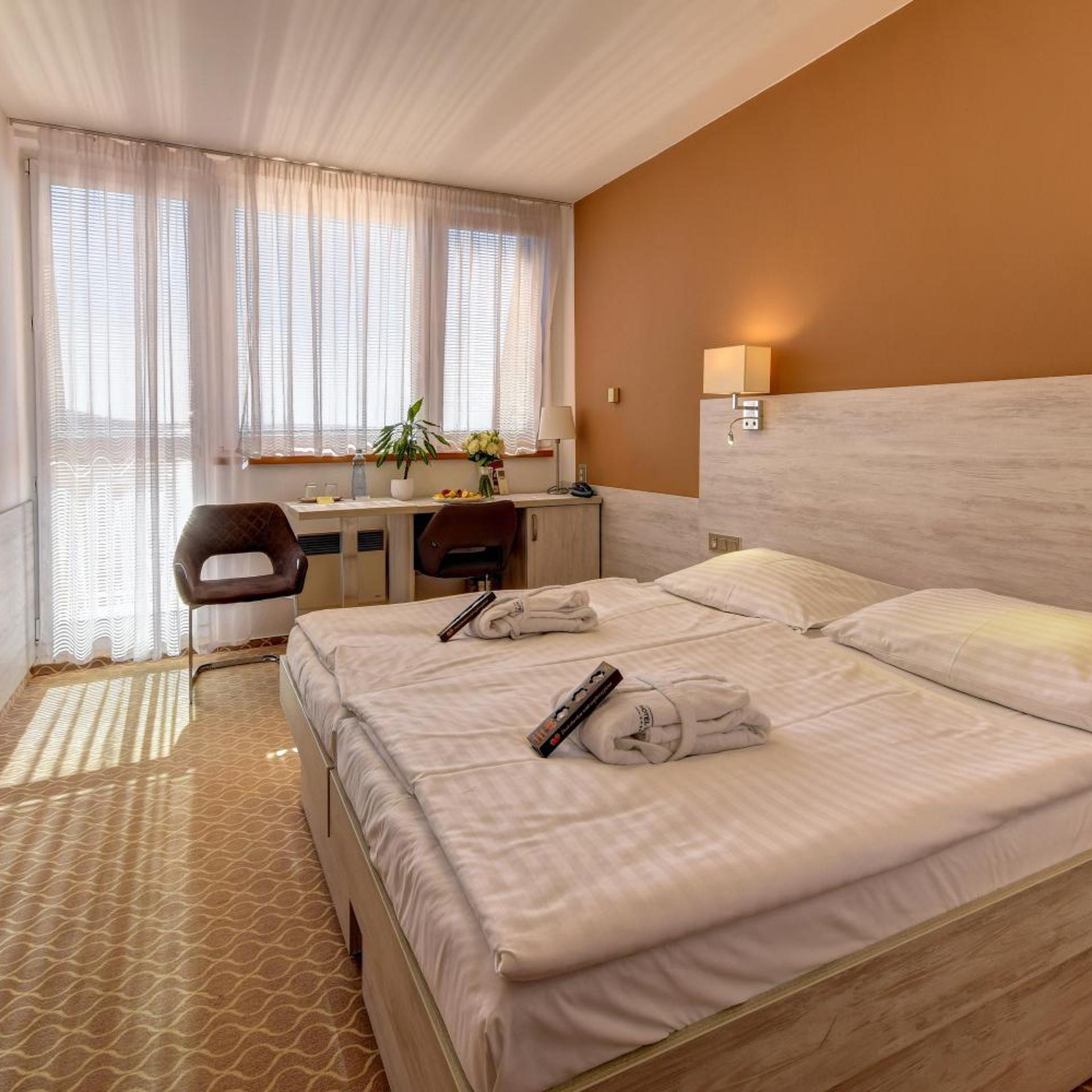 Hotel Vega Luhacovice 23/58