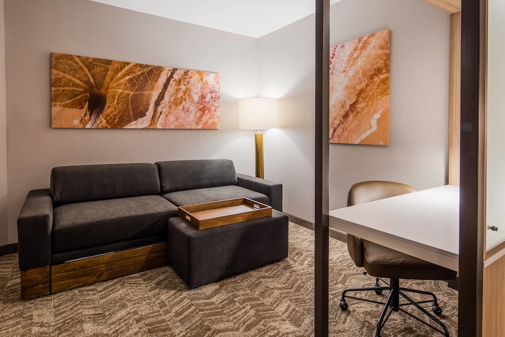 SpringHill Suites by Marriott Chambersburg 27/35