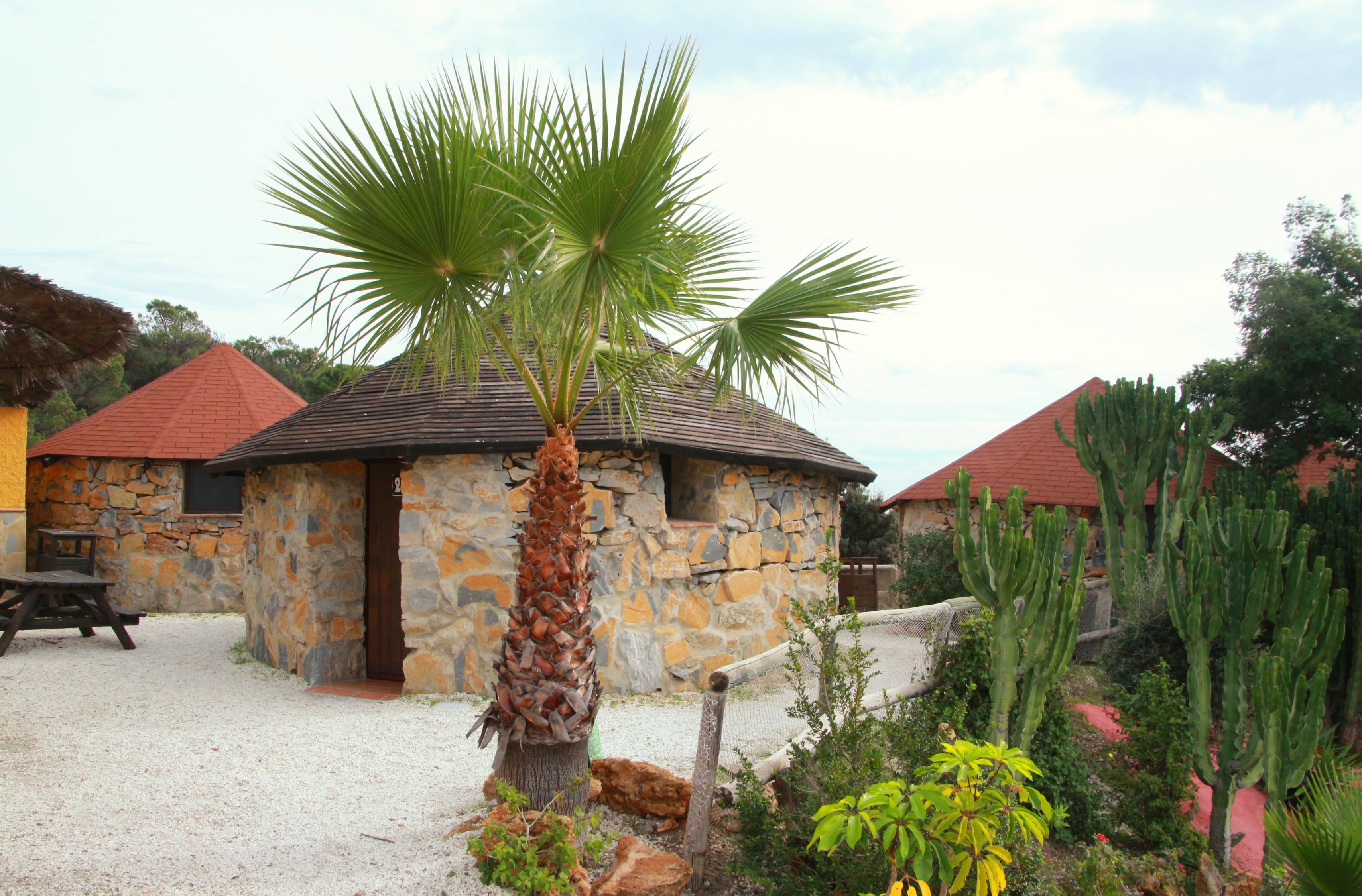 Hotel Selwo Lodge 3/50