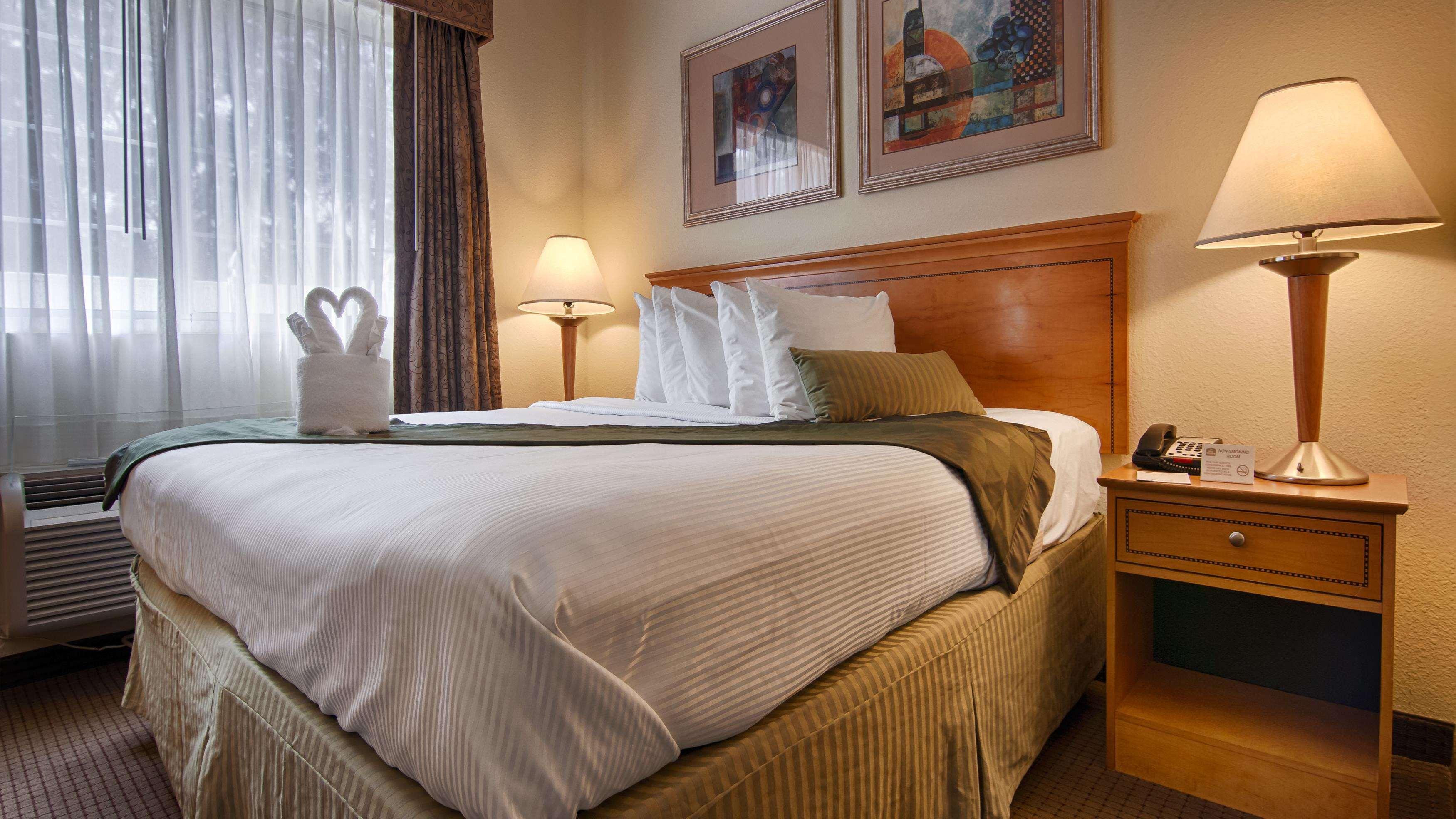 Mini, Suite, King Bed, Sofa, Accessible