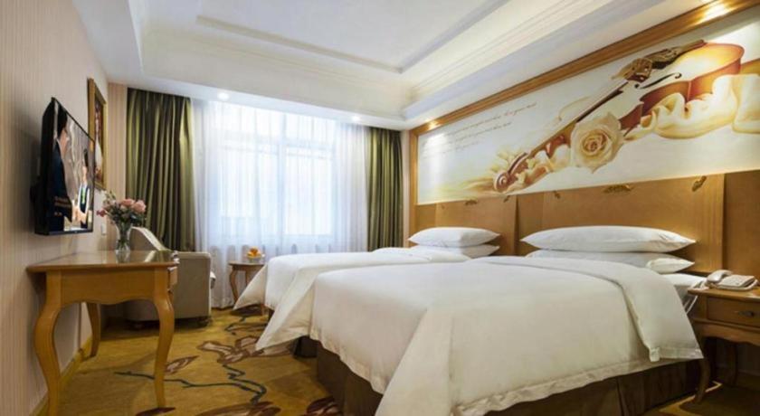 Vienna hotel (Huidong and run pedestrian street) 29/55