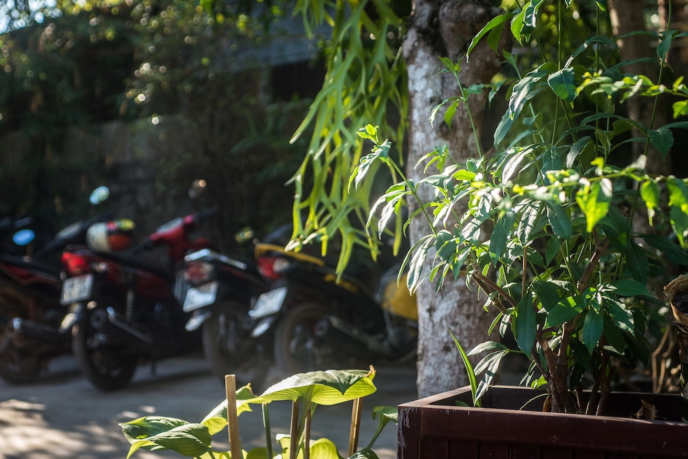 Cosy Bungalow Phu Quoc 18/24