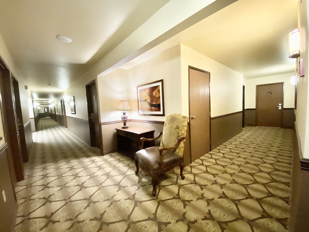 Super 8 By Wyndham Butte Mt 33/51