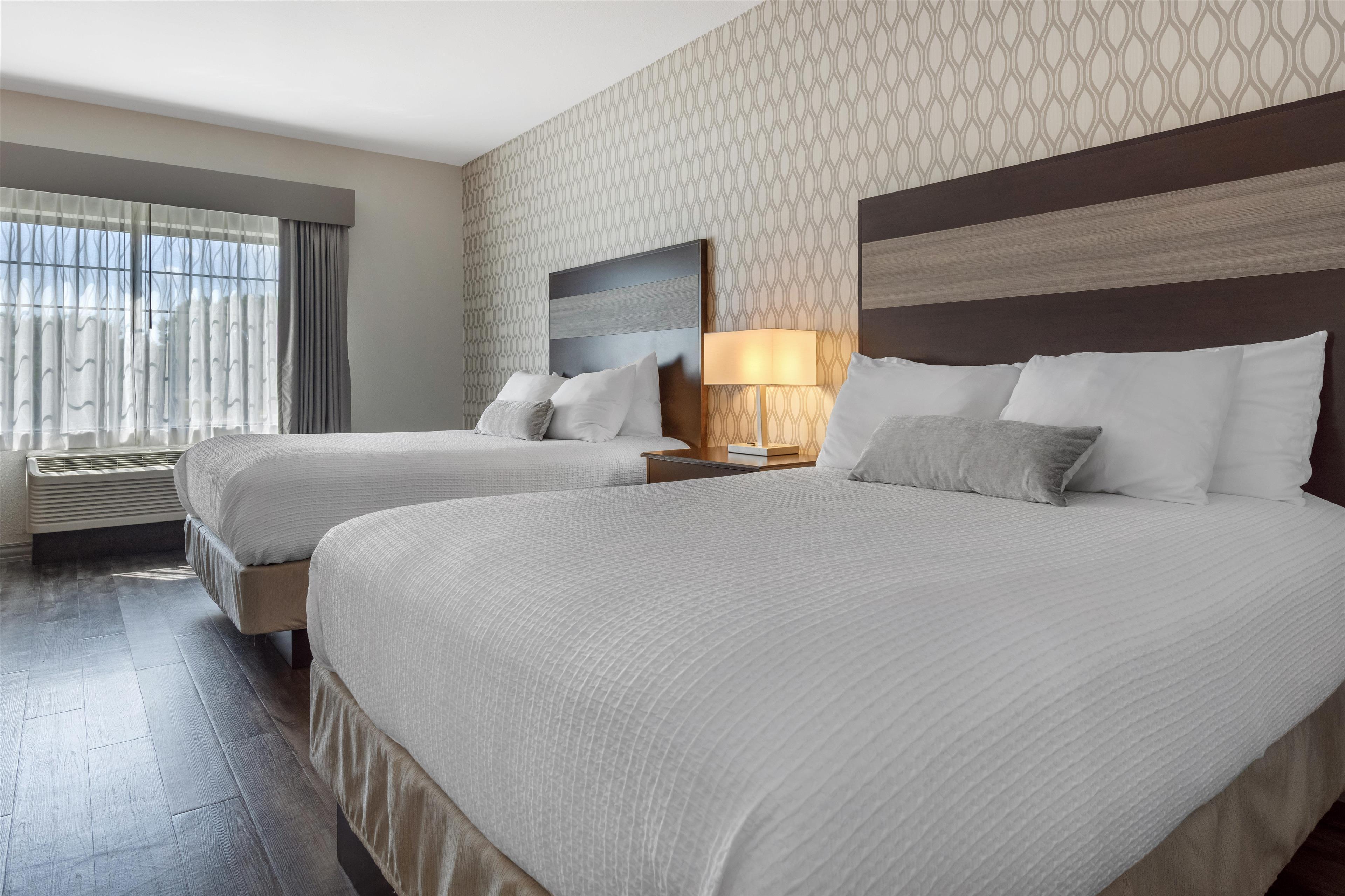 جناح بسريرين كوين، Best Western Plus Saint Peter 1/7