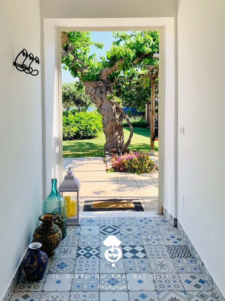 Il Giardino Fra Gli Ulivi 28/56