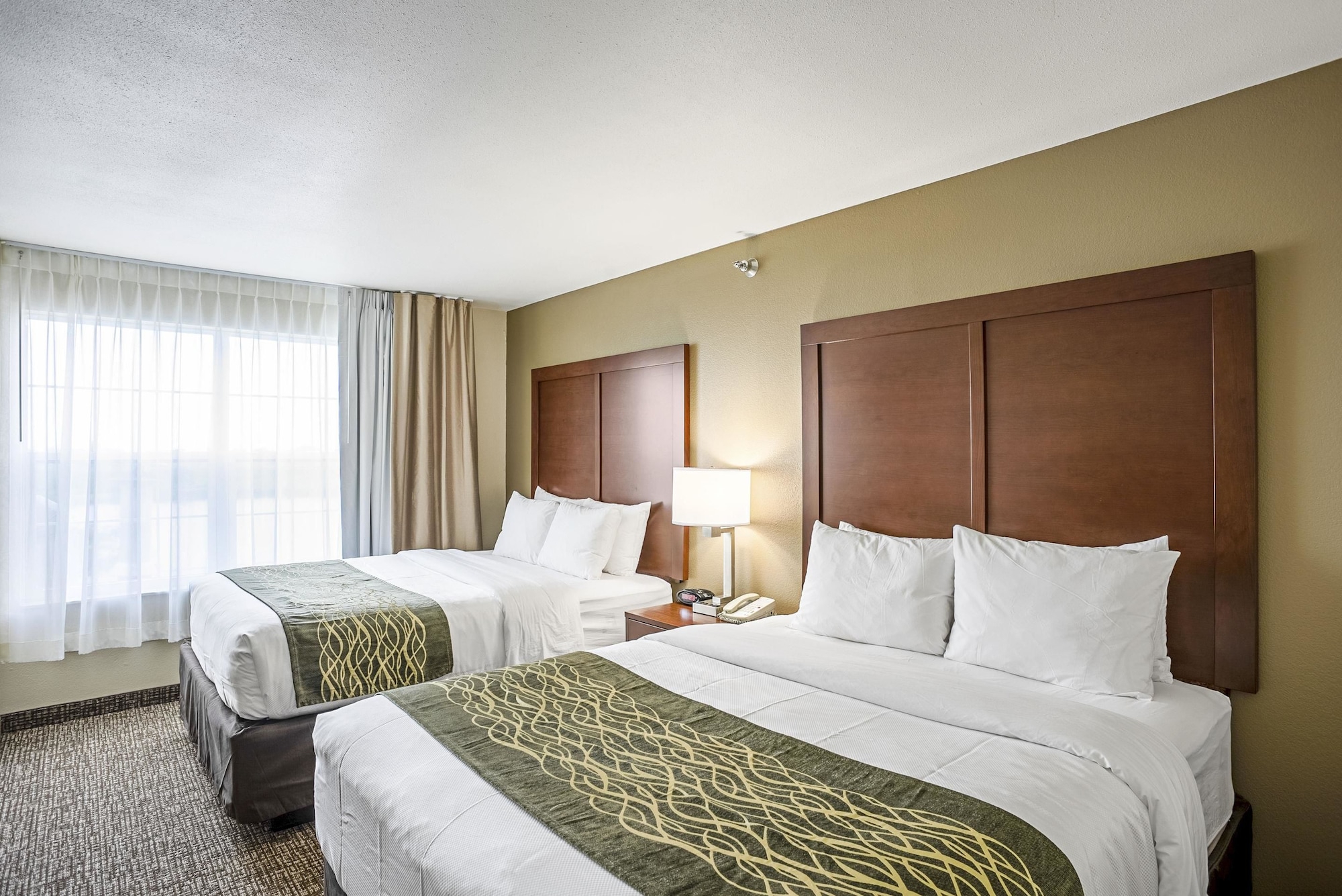 Suite, 2 Queen Beds, Sofa